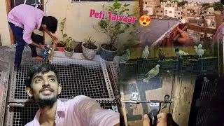 Udne Vale Kabootaro Ka Setup 🥳