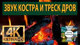 Звук Костра и Треск Дров для Релаксации  Хороший Сон и Отдых