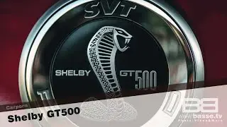 King Cobra! Shelby GT500 Carp*rn | basse.tv #carporn