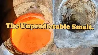 The Unpredictable Smelt.