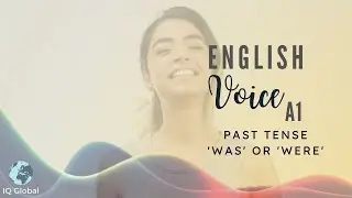 Past Tense Using There Was or Were | Beginner Grammar | A1 Level