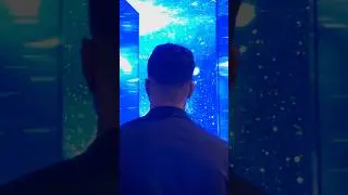 Our immersive rooms deliver unparalleled immersion #immersivetechnology #innovativetechnology