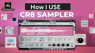 HOW TO USE WAVES CR8