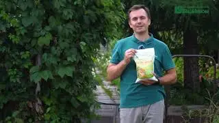 Как применять Раскислитель Известь Гуми