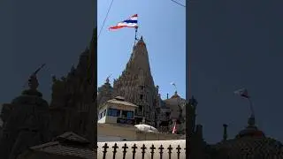 Dwarkadhish Temple Darshan #shorts #short #dwarka #dwarkadhish #travel #shortvideo #shortsvideo