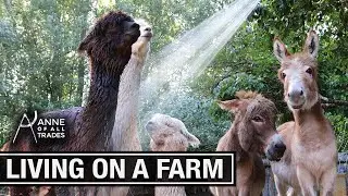 Daily Chores on a Small Farm