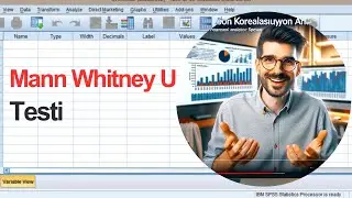 SPSS ile Mann Whitney U Testi Nasıl Yapılır?