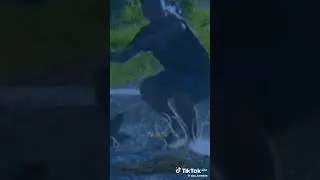 tragedi jibek patah sendaren