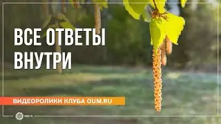 Все ответы внутри. Отзывы участников майской випассаны