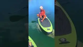 You Haven't Really Paddle Boarded In Florida Until You've Seen...