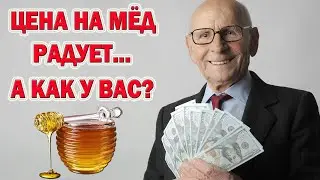 Цены на Мёд, как Всегда Радуют... Когда и Куда его Лучше Сдавать? Прогноз Цен на Ближайшее Будущее!