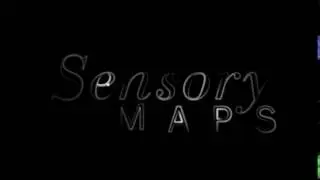 Sensory Maps Intro