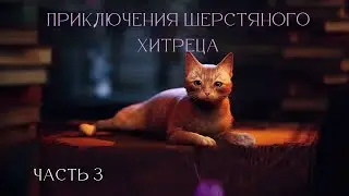 Приключения шерстяного хитреца. Полное погружение в Stray. Часть 3