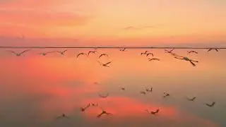 200 subs