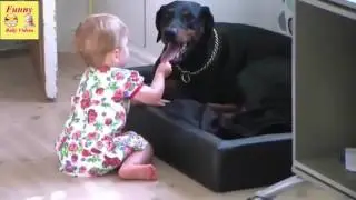 Awesome babies love to watch them