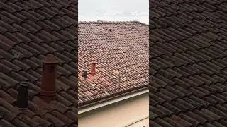 Дача Соловьёва. Озеро Комо, Италия