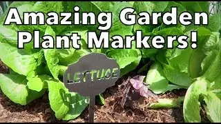 Amazing Garden Plant Markers!