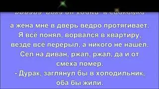 Анекдоты от Олега