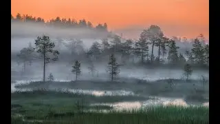 О СОВРЕМЕННЫХ ПРОРОЧЕСТВАХ