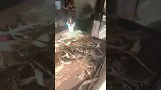 Не обрабатывай