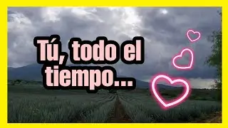 Refugio y Alimento 🌘 LOFI Hip Hop ROMÁNTICO [2024] 💖 Valysse 🐨 Rap de AMOR Para DEDICAR - Letra