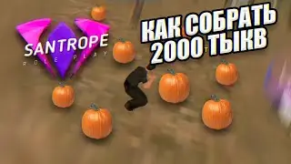 Лайфхак КАК СОБРАТЬ 2000 ТЫКВ ЗА СУТКИ В SANTROPE RP