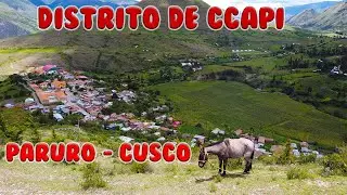 DISTRITO DE CCAPI  - PARURO - CUSCO  | VIDEO 4K | FLY CUSCO