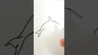 Killer whale 🐋 oneline #easydrawing #subscribe #shorts