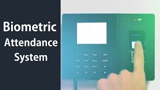 How to Use Biometric Attendance Systems | Advanced Excel