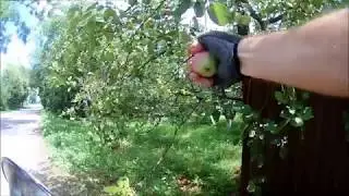 ВелоПВД 22-07-2018