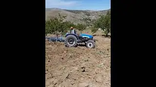 Harunuşağı Köyü Kayısı Tarları Sürülüyor
