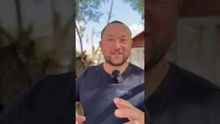 Денис Николин, мастер-наездник. Раменский ипподром 20.07.24