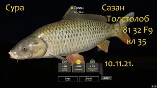 рр4! Сура Сазан Толстолобик пёстрый)))