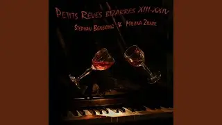 Petit Reve Bizarre XIV (feat. Stephan Beneking)