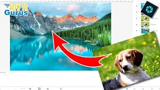 Beginner's Guide to Photoshop Elements: Adding PHOTOS to LAYERS