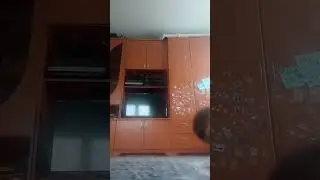 13 мая 2024 г.