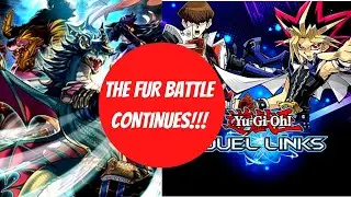 DUEL LINKS: FUR HIRE TAKE OVER!