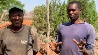 Helping the community in the this drought yeqr by giving them an opportunity to work for food.
