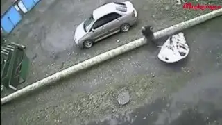 Ангелы-хранители существуют