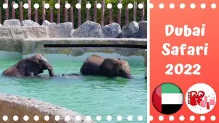 Keila Explores Dubai Safari Park 2022