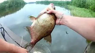Ловля леща на донки. река Унжа.