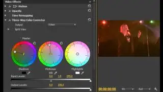 Reference Monitor   Three Way CC