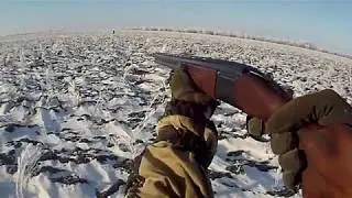 Охота на зайца с друзьями 2 2019