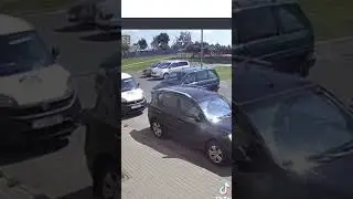 Собака в Жлобине устроила аварию, «сев за руль» автомобиля. Видел взято из ТГ Могилёв Онлайн.