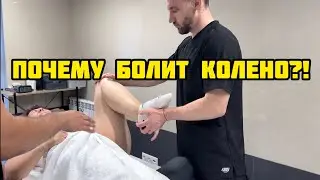 Почему болит колено?! Или боль в колени как следствие коксартроза #гонартроз #коксартроз