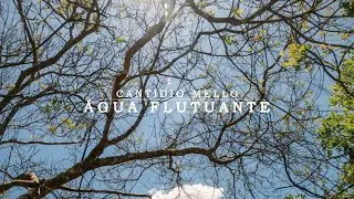 Água Flutuante - Cantídio Mello