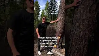3 мая 2024 г.