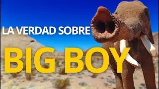 La verdad sobre BIG BOY