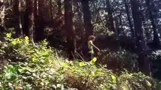 Dixie's take on sleeping in the woods