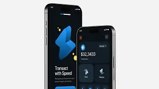 Fintech | Walkthrough & Home Screen